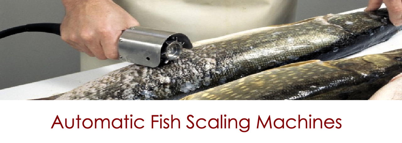 Automatic Fish Scaling Machine Text slide show